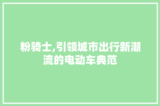 粉骑士,引领城市出行新潮流的电动车典范