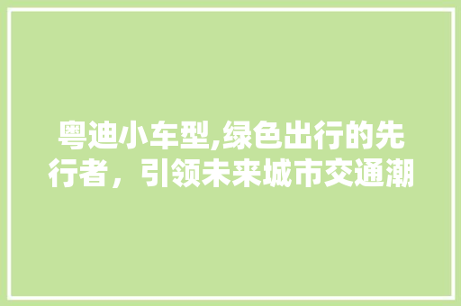 粤迪小车型,绿色出行的先行者，引领未来城市交通潮流
