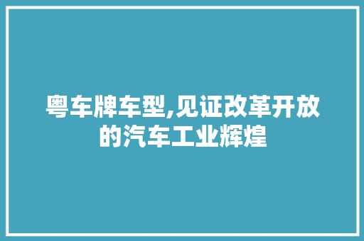 粤车牌车型,见证改革开放的汽车工业辉煌