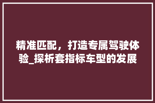 精准匹配，打造专属驾驶体验_探析套指标车型的发展与优势