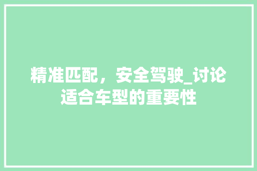精准匹配，安全驾驶_讨论适合车型的重要性