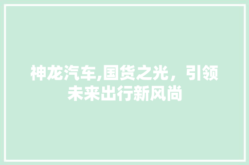 神龙汽车,国货之光，引领未来出行新风尚