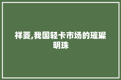 祥菱,我国轻卡市场的璀璨明珠