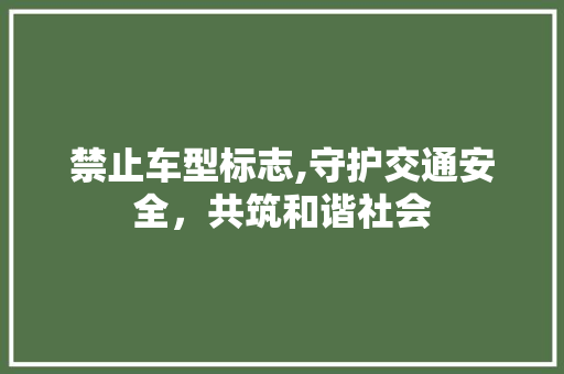 禁止车型标志,守护交通安全，共筑和谐社会