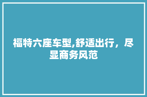 福特六座车型,舒适出行，尽显商务风范
