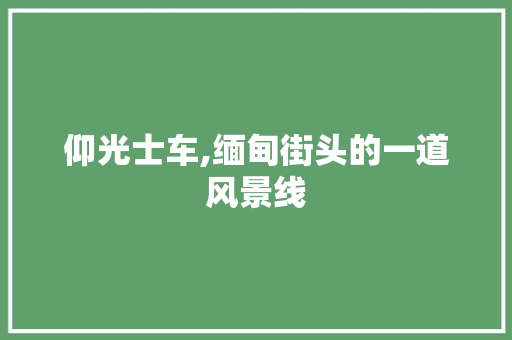 仰光士车,缅甸街头的一道风景线