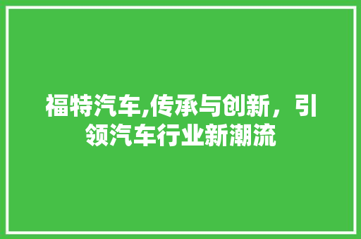 福特汽车,传承与创新，引领汽车行业新潮流