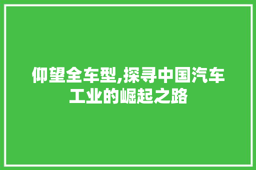 仰望全车型,探寻中国汽车工业的崛起之路