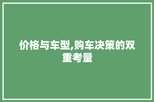 价格与车型,购车决策的双重考量