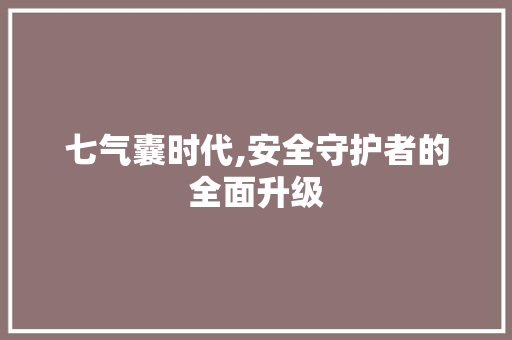 七气囊时代,安全守护者的全面升级