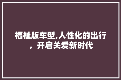 福祉版车型,人性化的出行，开启关爱新时代