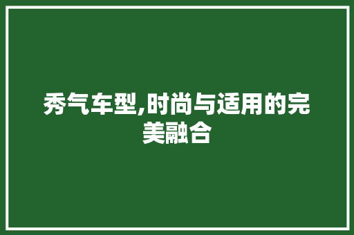 秀气车型,时尚与适用的完美融合