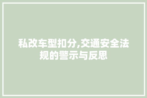 私改车型扣分,交通安全法规的警示与反思