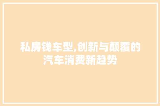 私房钱车型,创新与颠覆的汽车消费新趋势