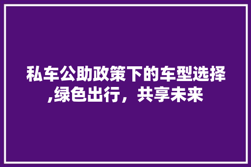 私车公助政策下的车型选择,绿色出行，共享未来