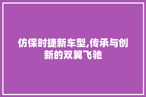 仿保时捷新车型,传承与创新的双翼飞驰 蓄电池配件