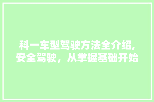 科一车型驾驶方法全介绍,安全驾驶，从掌握基础开始