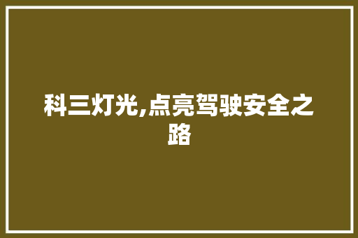 科三灯光,点亮驾驶安全之路