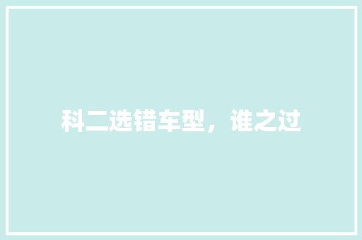 科二选错车型，谁之过