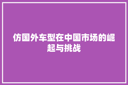 仿国外车型在中国市场的崛起与挑战