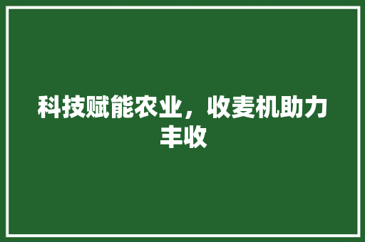 科技赋能农业，收麦机助力丰收