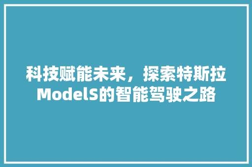 科技赋能未来，探索特斯拉ModelS的智能驾驶之路