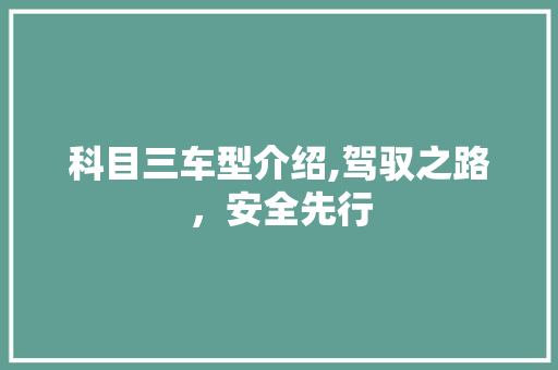科目三车型介绍,驾驭之路，安全先行