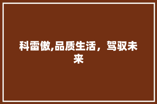 科雷傲,品质生活，驾驭未来