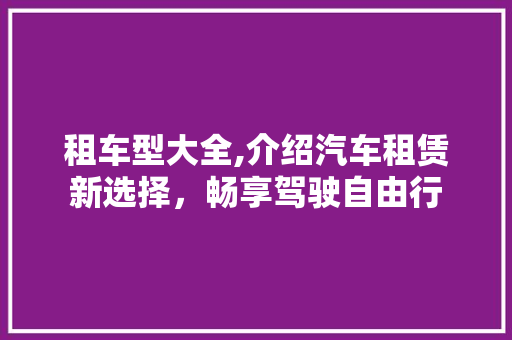 租车型大全,介绍汽车租赁新选择，畅享驾驶自由行