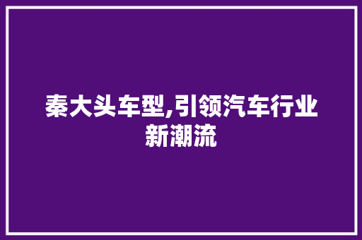 秦大头车型,引领汽车行业新潮流