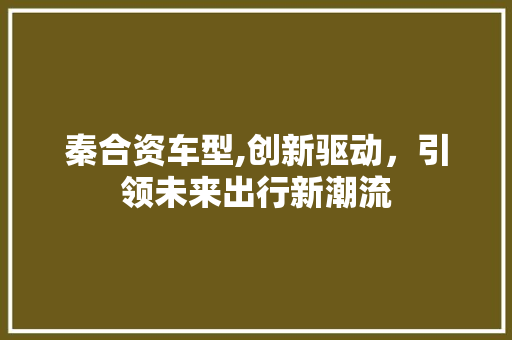 秦合资车型,创新驱动，引领未来出行新潮流