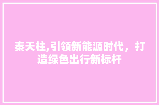 秦天柱,引领新能源时代，打造绿色出行新标杆