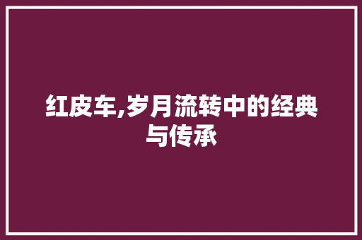 红皮车,岁月流转中的经典与传承