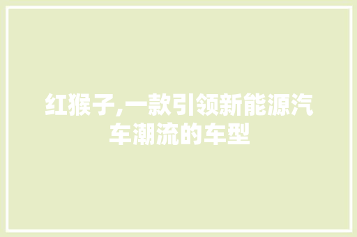 红猴子,一款引领新能源汽车潮流的车型