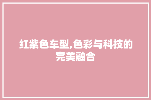 红紫色车型,色彩与科技的完美融合