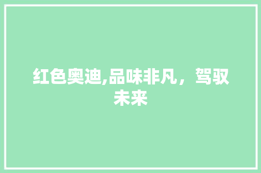 红色奥迪,品味非凡，驾驭未来