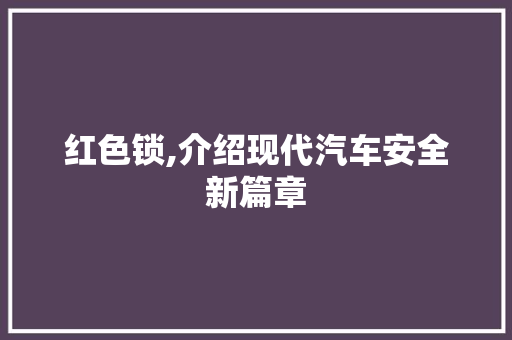 红色锁,介绍现代汽车安全新篇章