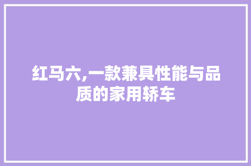 红马六,一款兼具性能与品质的家用轿车