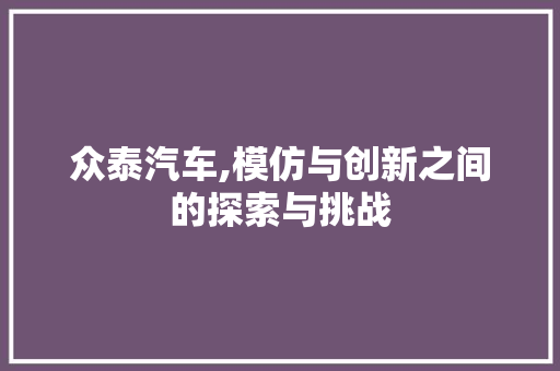 众泰汽车,模仿与创新之间的探索与挑战