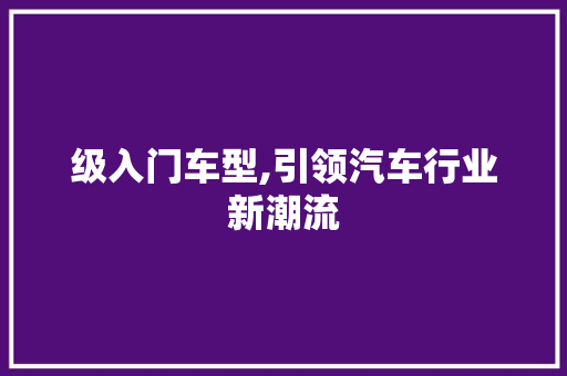 级入门车型,引领汽车行业新潮流