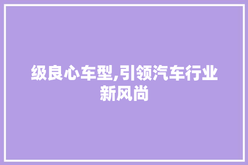 级良心车型,引领汽车行业新风尚 底盘配件