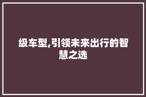 级车型,引领未来出行的智慧之选