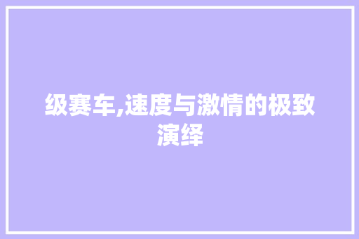 级赛车,速度与激情的极致演绎