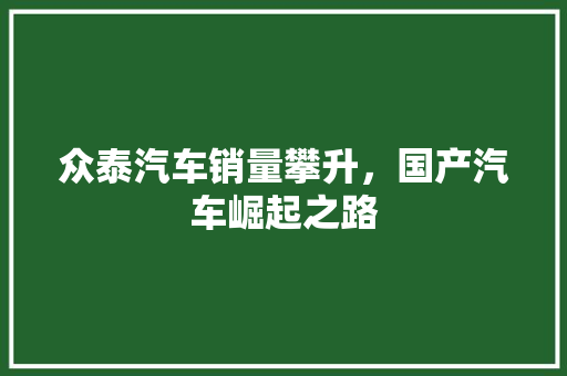 众泰汽车销量攀升，国产汽车崛起之路