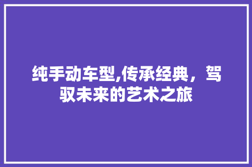 纯手动车型,传承经典，驾驭未来的艺术之旅