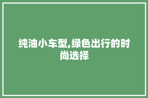 纯油小车型,绿色出行的时尚选择