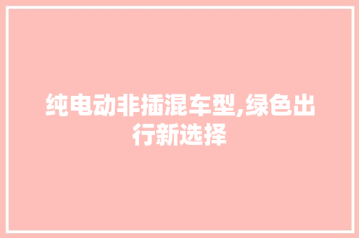 纯电动非插混车型,绿色出行新选择