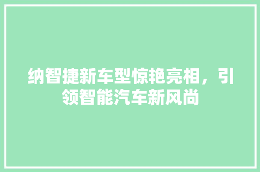 纳智捷新车型惊艳亮相，引领智能汽车新风尚