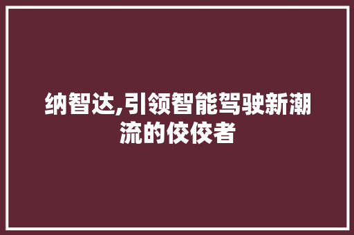 纳智达,引领智能驾驶新潮流的佼佼者