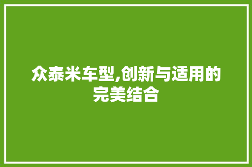 众泰米车型,创新与适用的完美结合